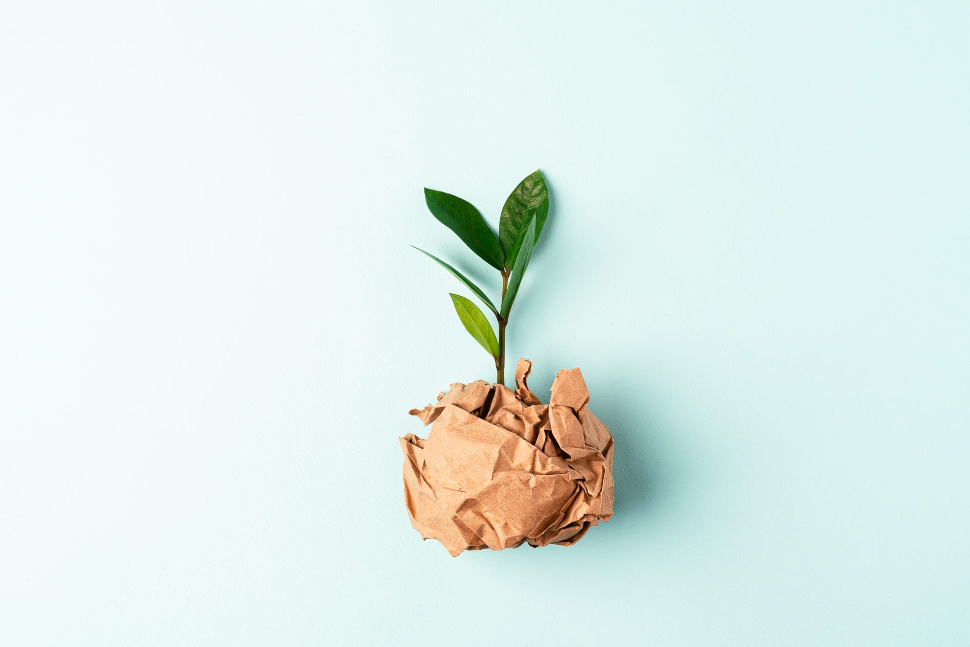 AdobeStock_367815315-1