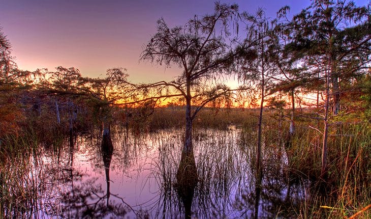 Into the Florida Wild: Four Day Trips from Miami Beach