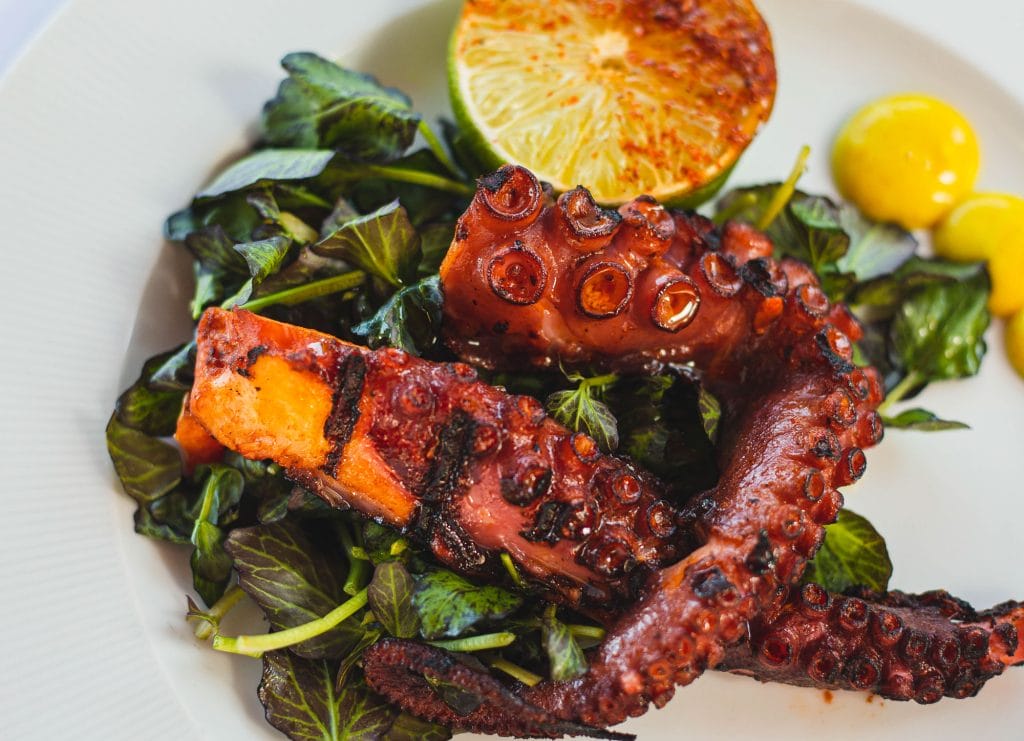 Costa Grill Grilled Octopus Dish