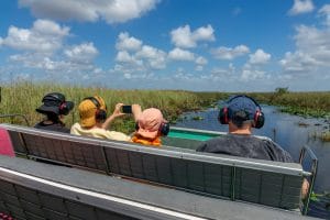 Everglades Adventure image