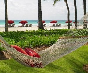 Flawless White Sand And Shores image