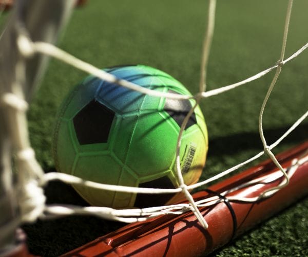 Sports with Oscar image